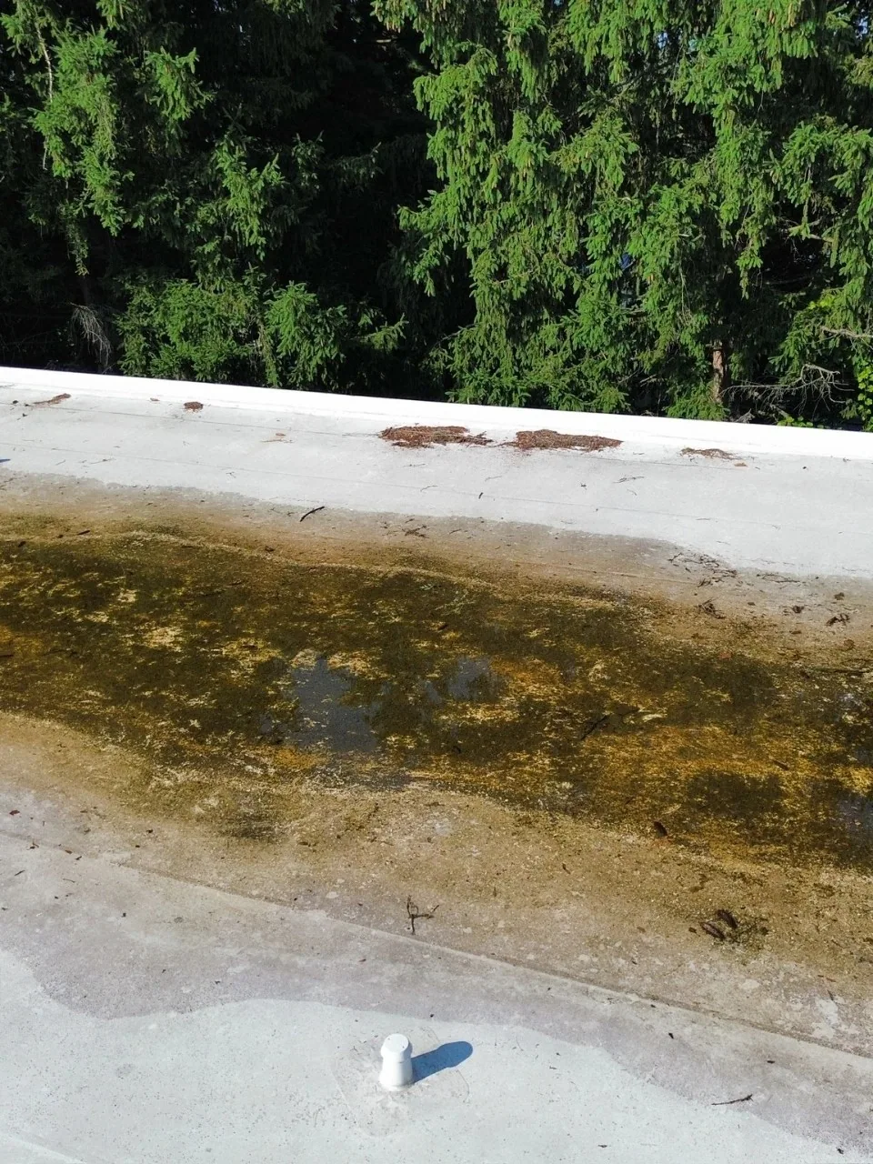 Leak Repair in Fontana, CA Leak Repair in Fontana, CA
